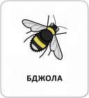 Картки з піктограмами. Тварини Картки з піктограмами. Тварини