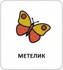 Картки з піктограмами. Тварини Картки з піктограмами. Тварини