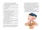 Пригоди Еміля з Льонеберґи Пригоди Еміля з Льонеберґи